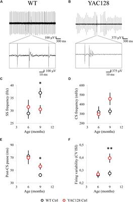 Ataxic Symptoms in Huntington’s Disease Transgenic Mouse Model Are Alleviated by Chlorzoxazone